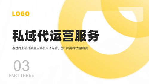 軟件運營服務公司產品介紹PPT模板